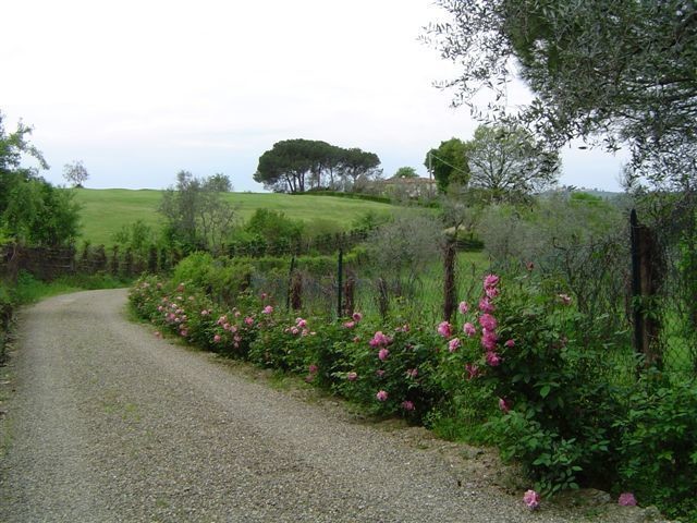Golf Ugolino house Florence