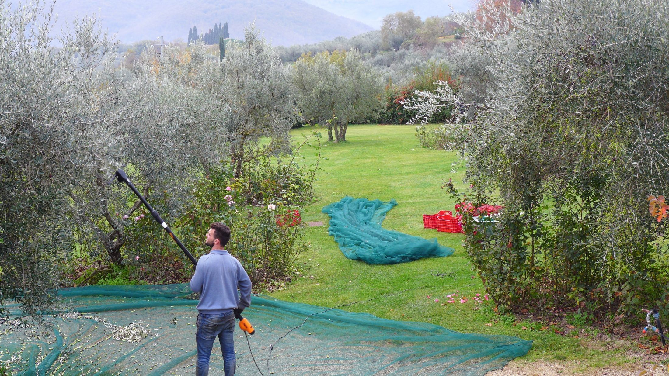 Gardens