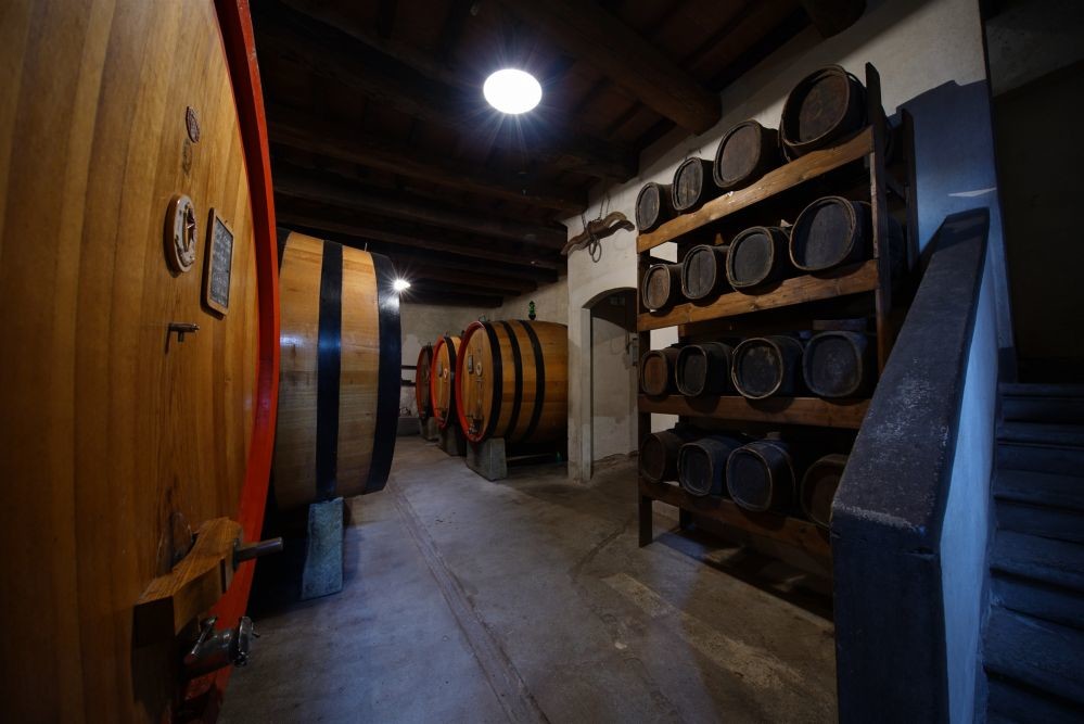 Verrazzano 3