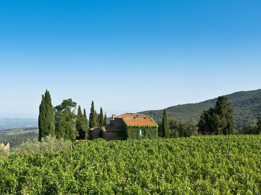 Riseccoli 1